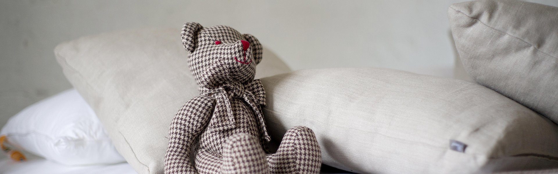 Teddy © Pixabay Engin_Akyurt