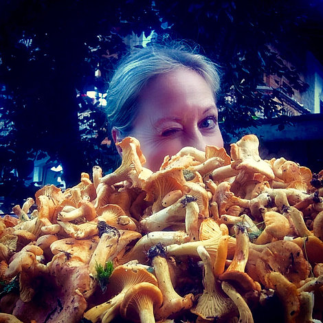 Chanterelle by the tons